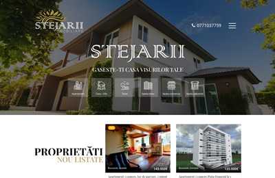 Website Stejarii Imobiliare